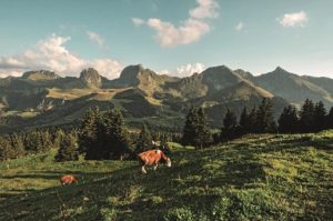 Parc naturel du Gantrisch Berne